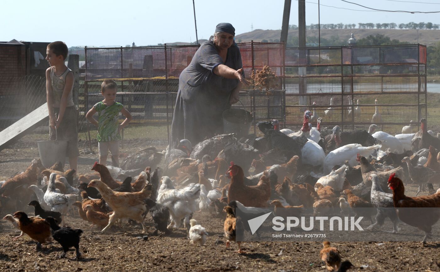 Farm in the Chechen Republic