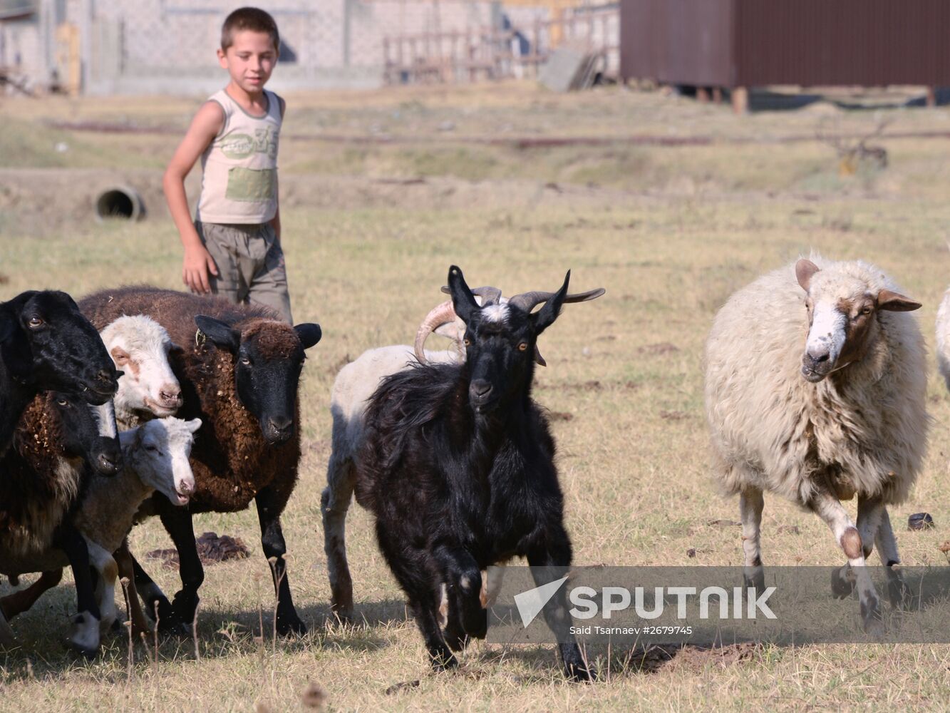 Farm in the Chechen Republic