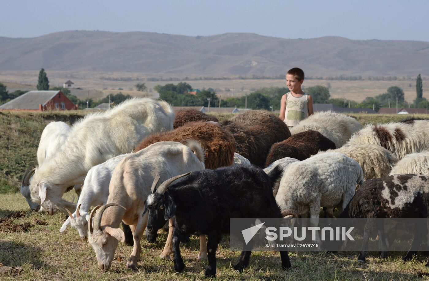 Farm in the Chechen Republic