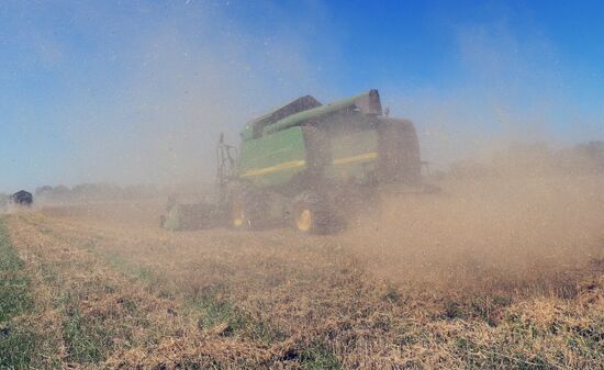 Wheat harvest in Kaliningrad Region