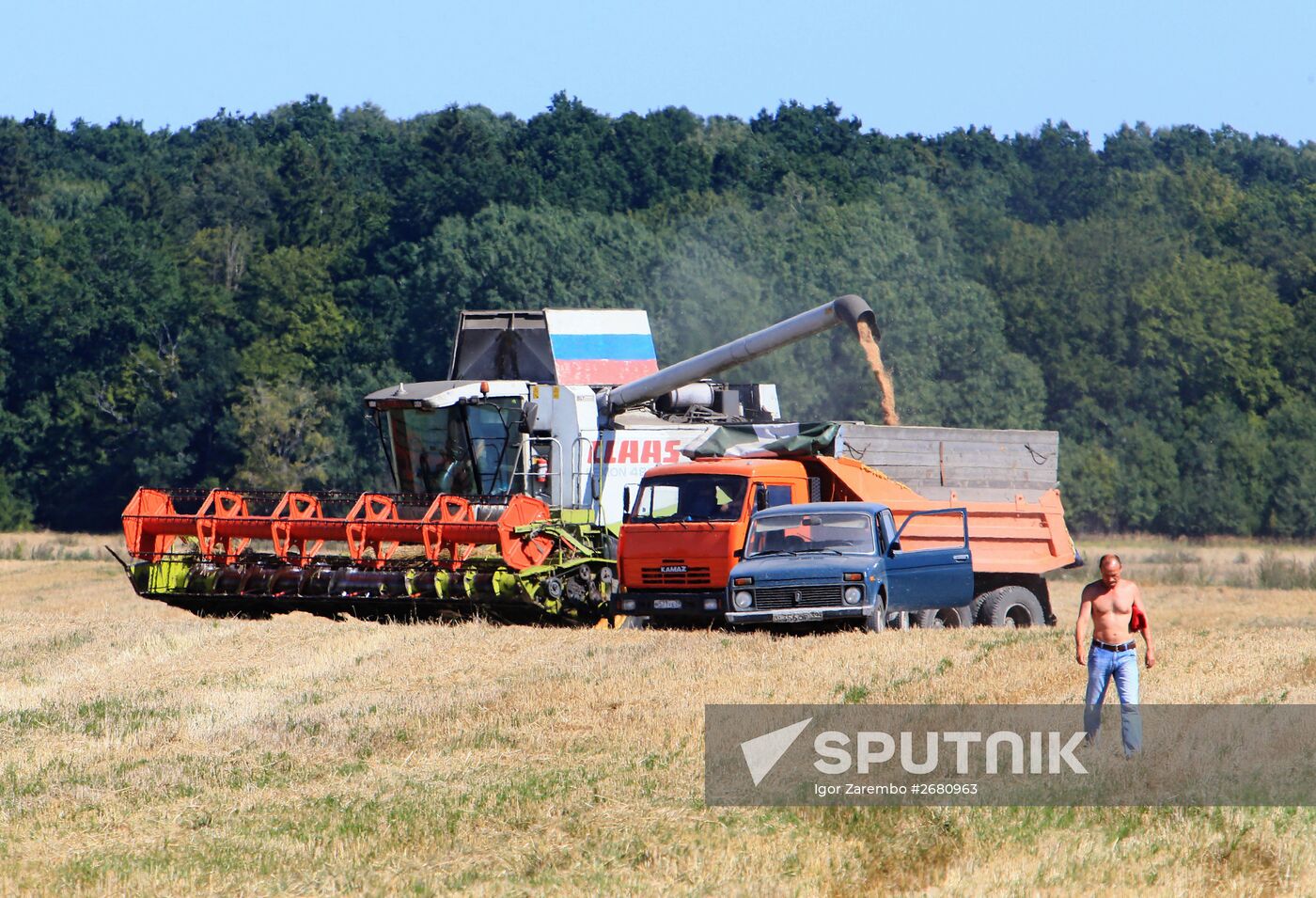 Wheat harvest in Kaliningrad Region