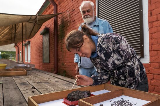 Archaeologists find a hoard dating back to Ivan the Terrible times in Old Ladoga Fortress