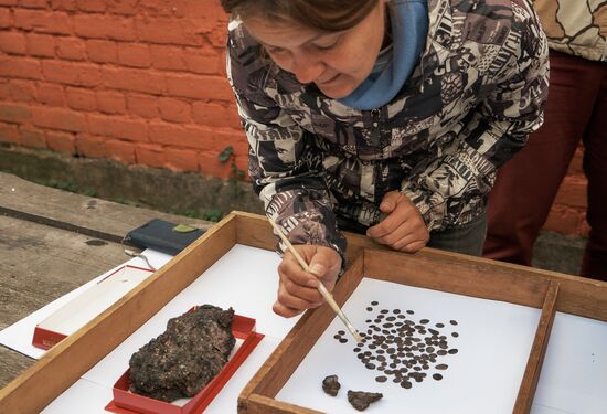 Archaeologists find a hoard dating back to Ivan the Terrible times in Old Ladoga Fortress