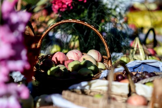 Apple Feast Day in Russia