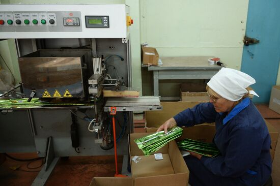 Manufacturing firecrackers in the Moscow Region