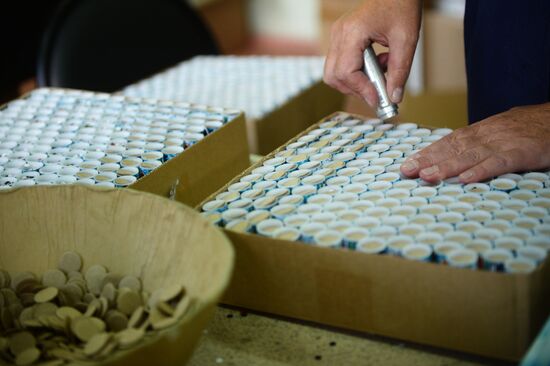 Manufacturing firecrackers in the Moscow Region