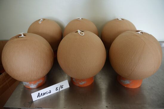 Manufacturing firecrackers in the Moscow Region