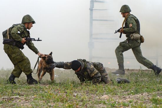 Counter-terrorist drill at the Novosibirsk canal lock / floodgate