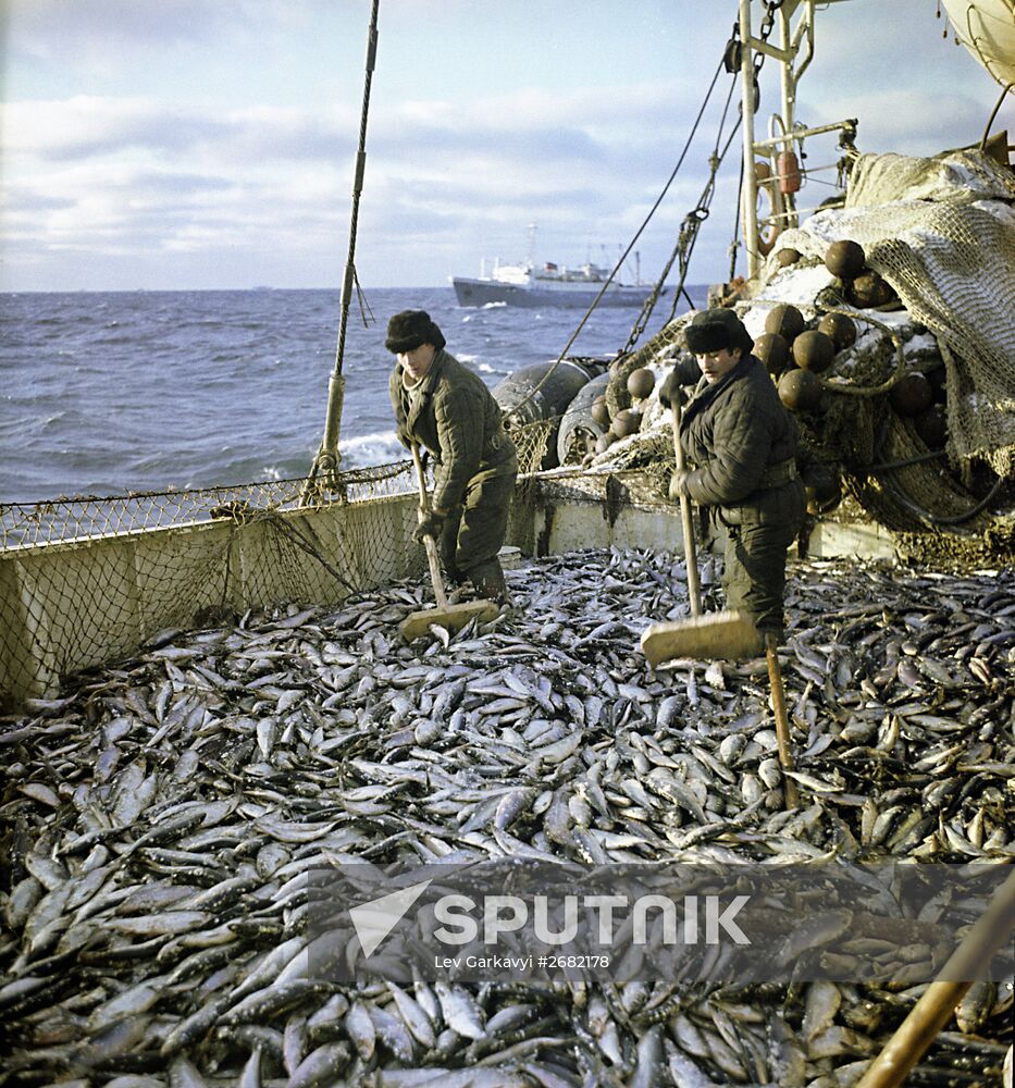 Fishing vessels at sea