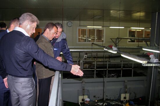 Prime Minister Medvedev visits Far Eastern Federal District. Kuril Islands