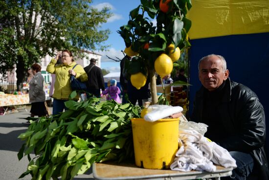 Irbitskaya Fair in Sverdlovsk region