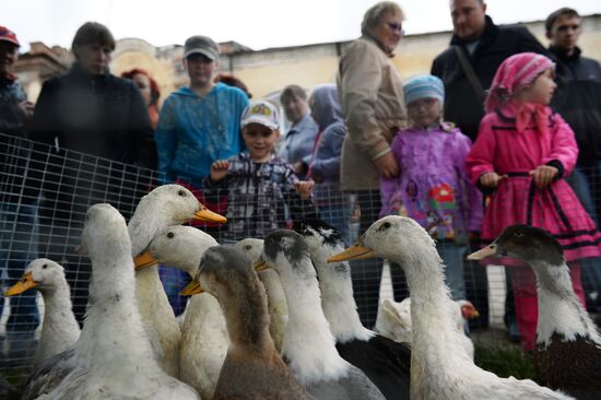 Irbitskaya Fair in Sverdlovsk region