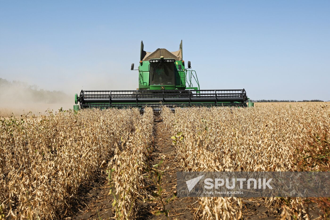 Soy bean harvesting in the Krasnodar Region