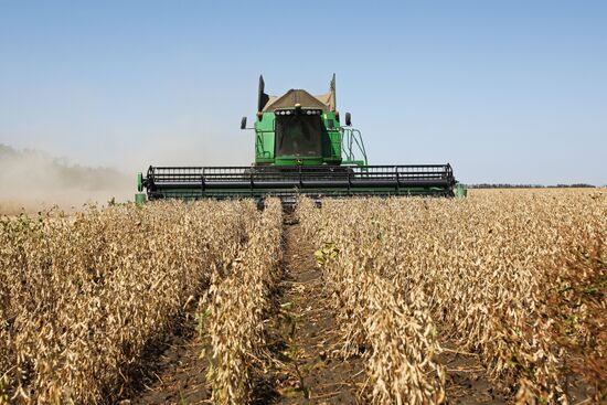 Soy bean harvesting in the Krasnodar Region