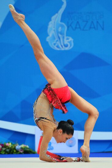 Rhythmic Gymnastics. World Cup. Day Two