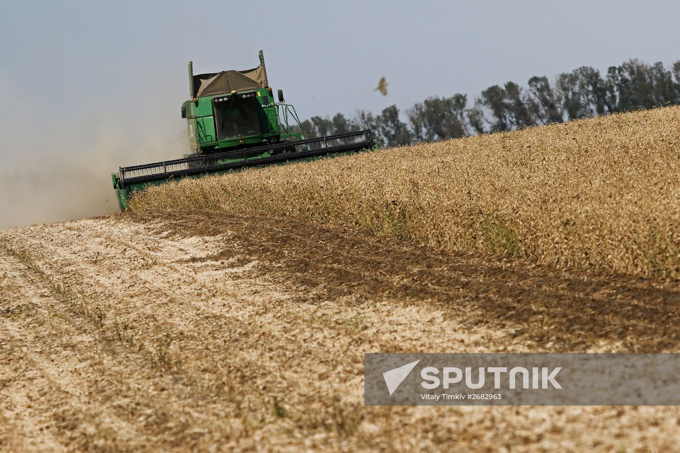 Soy bean harvesting in the Krasnodar Region