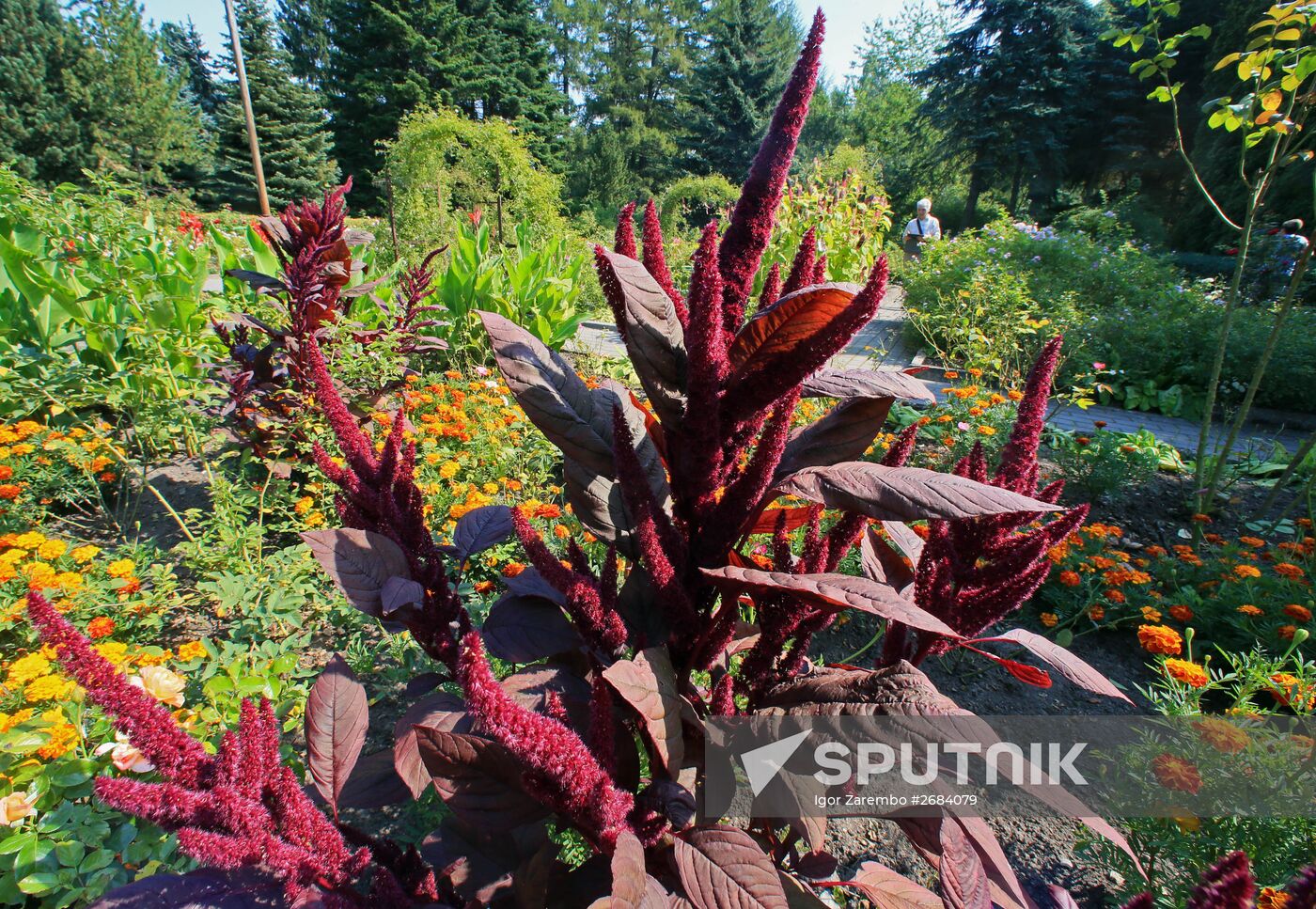 Botanical Garden of Kaliningrad