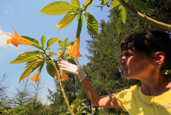 Botanical Garden of Kaliningrad