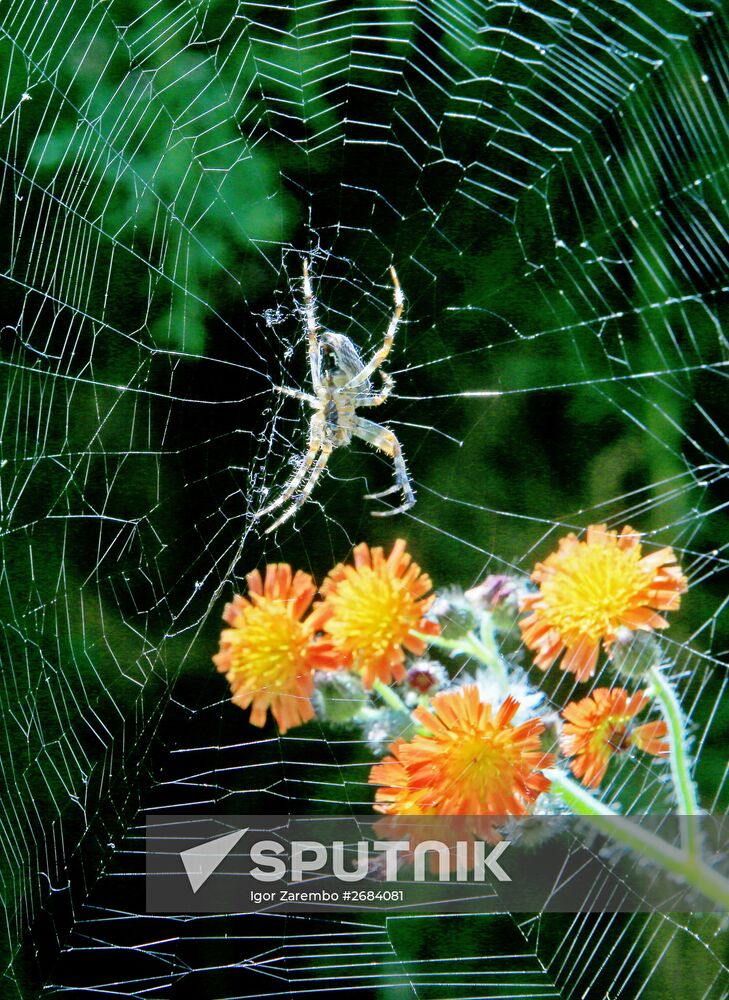 Botanical Garden of Kaliningrad