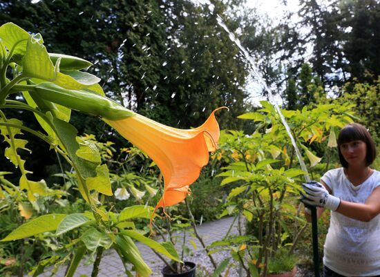 Botanical Garden of Kaliningrad
