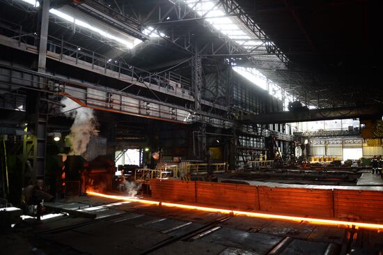 The Nizhnyaya Salda Iron & Steel Works