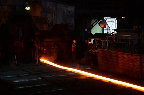 The Nizhnyaya Salda Iron & Steel Works