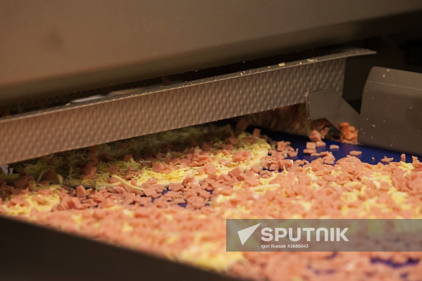 Production of pizzas in Leningrad Region