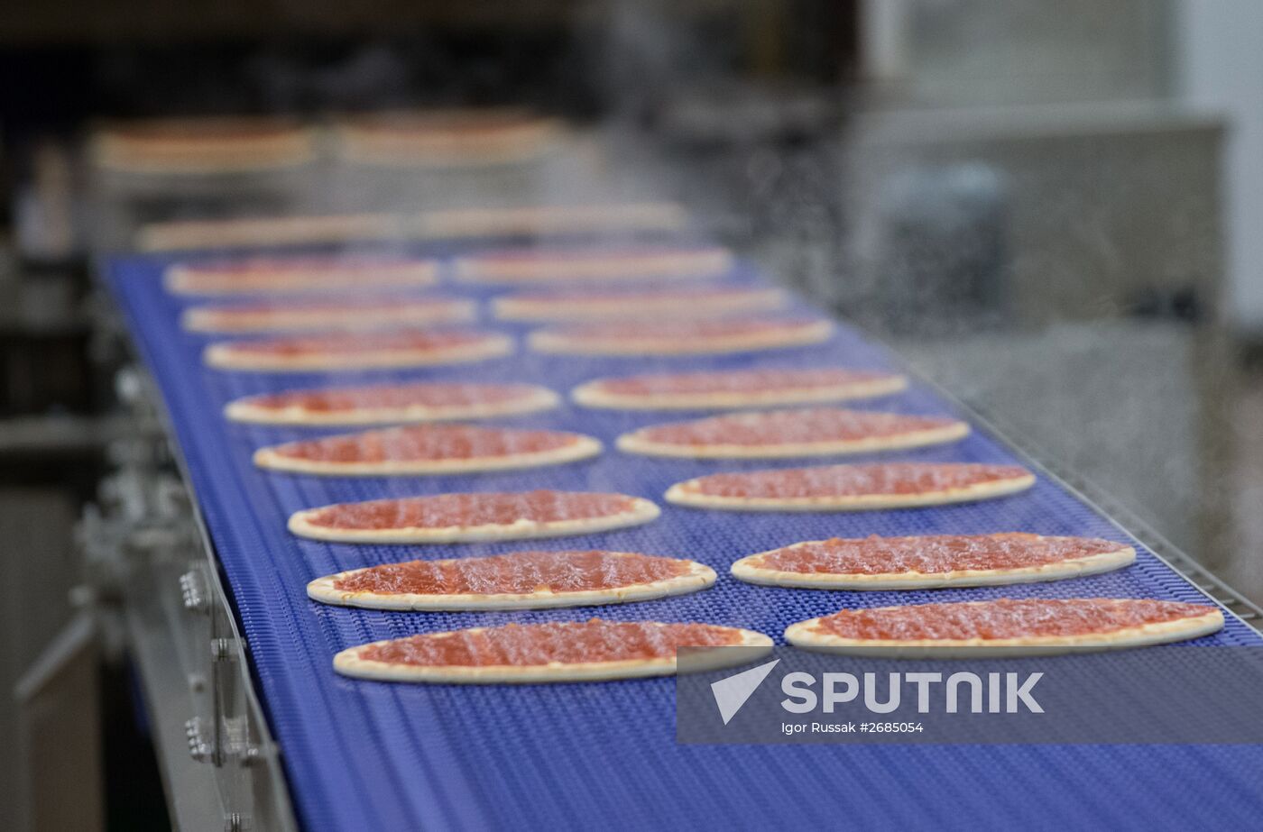 Production of pizzas in Leningrad Region