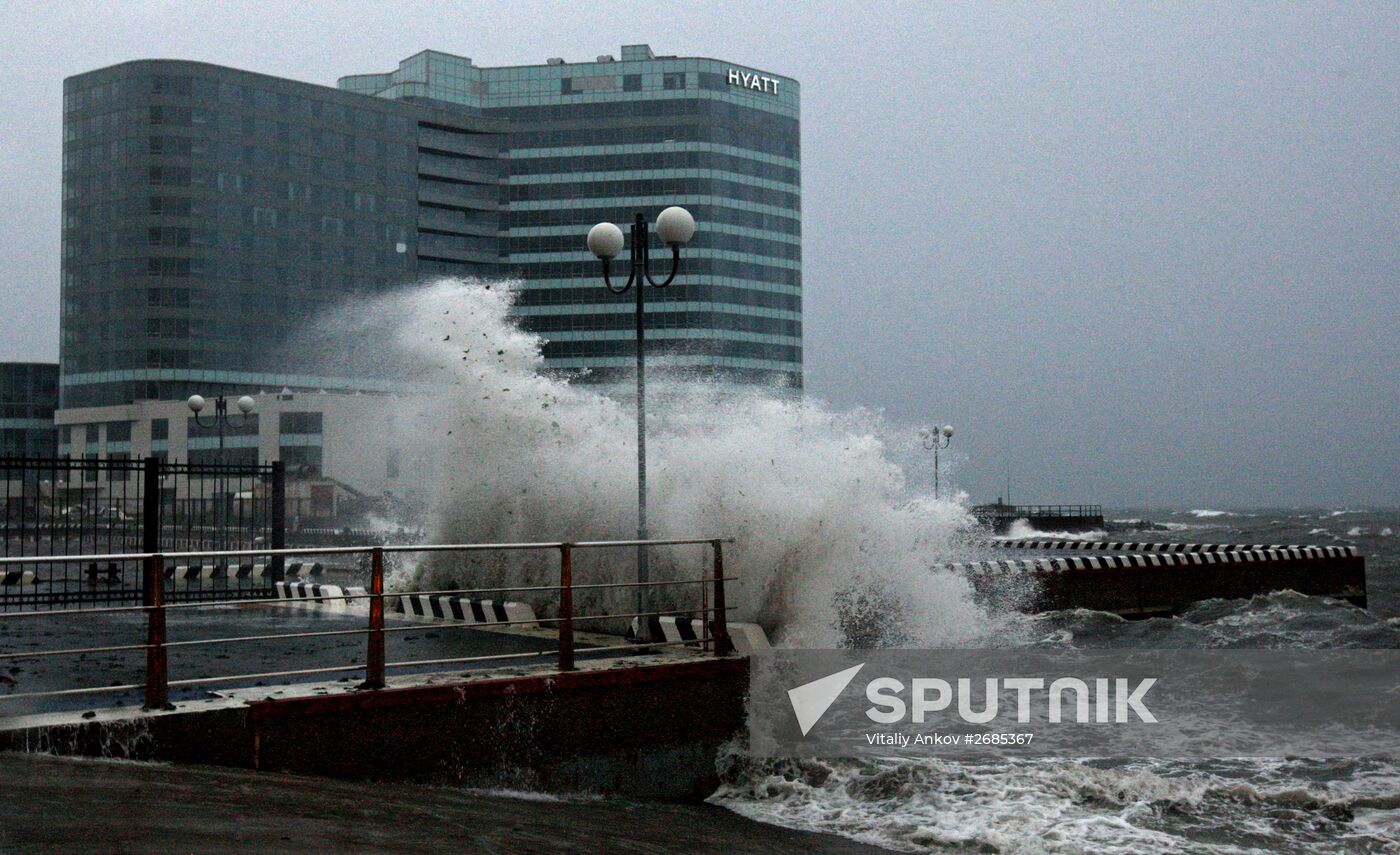 Typhoon Goni in Primorye Territory