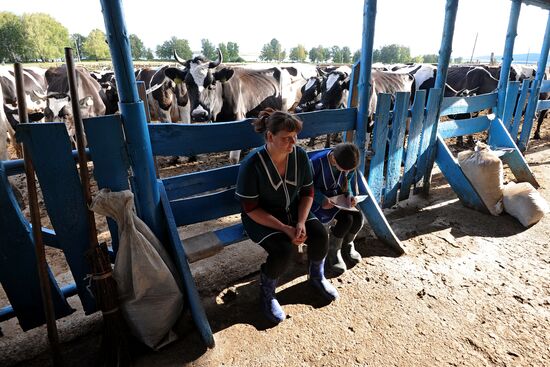 Dairy farm in the Chelyabinsk region