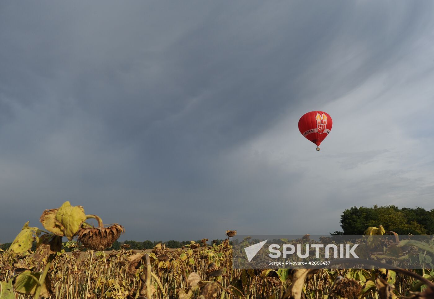Sky Regatta ballooning festival in Rostov Region