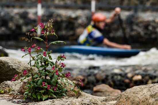 Whitewater rafting regional center in Novgorod region