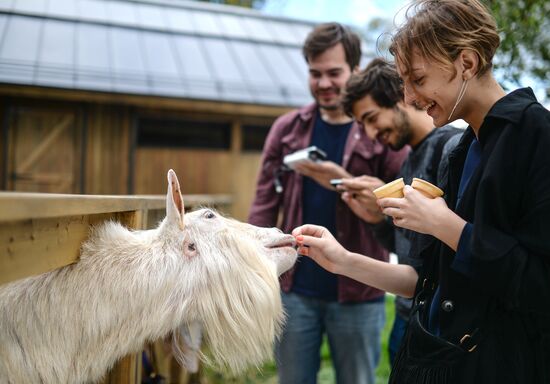 City Farm opens at VDNKh