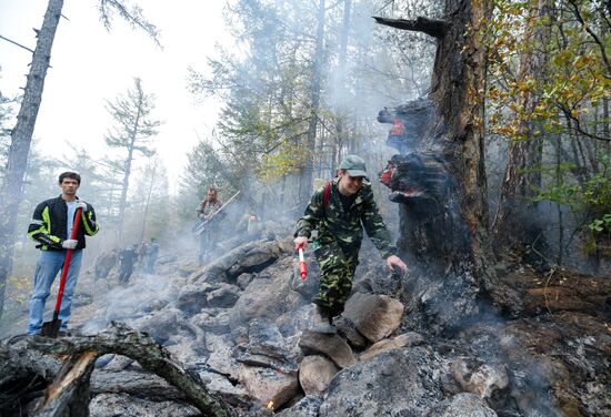Wildfires put out in Irkutsk region