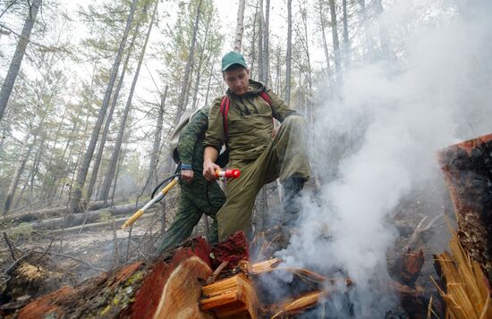Wildfires put out in Irkutsk region