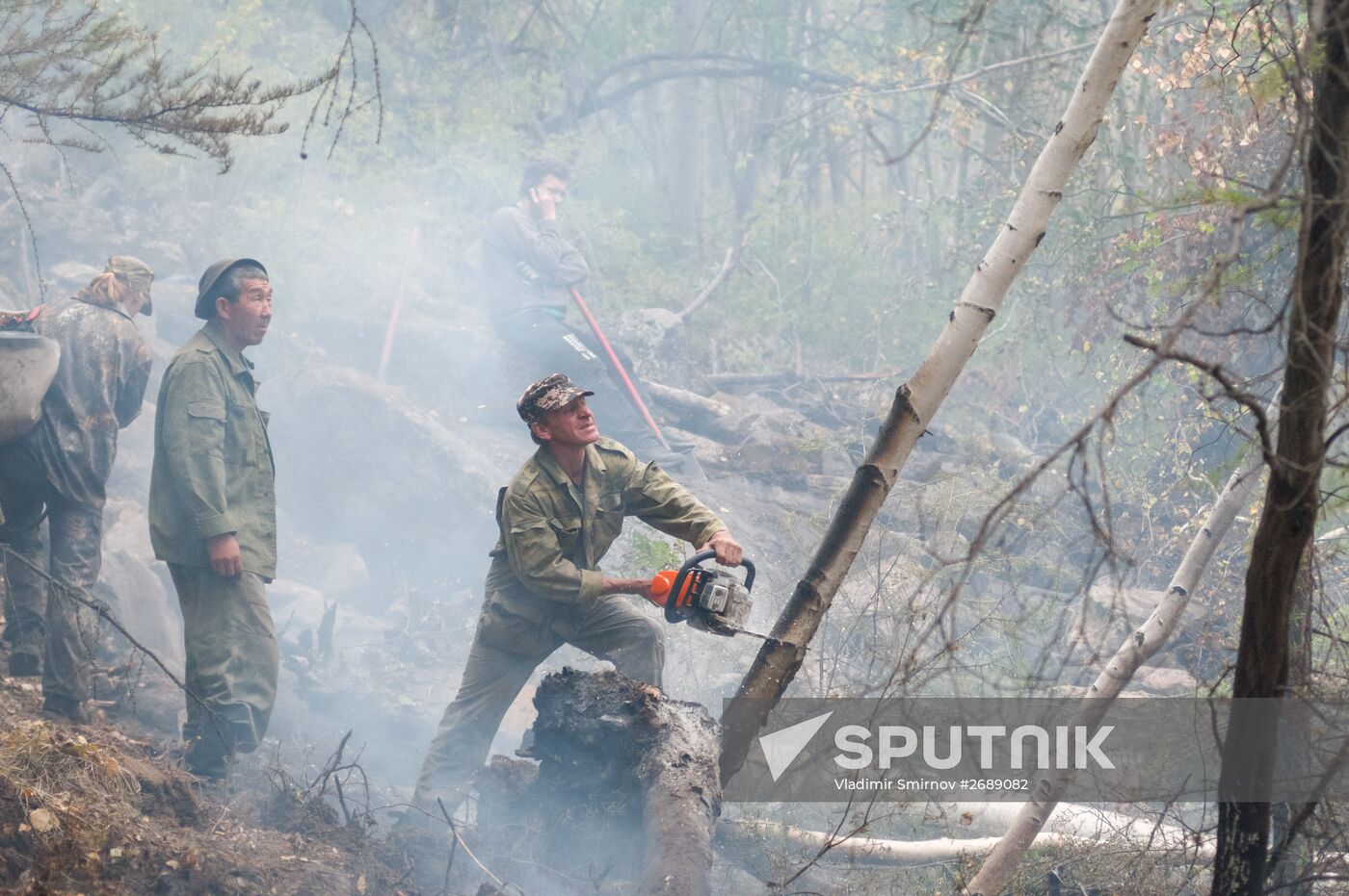 Wildfires put out in Irkutsk region