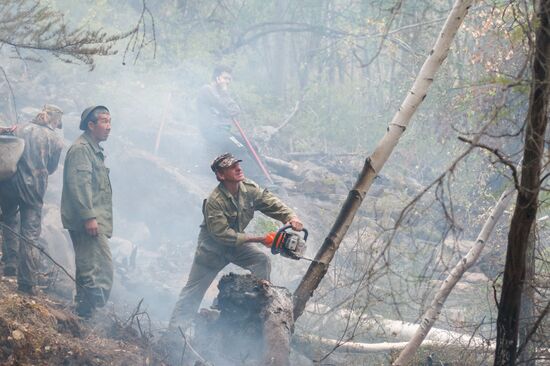 Wildfires put out in Irkutsk region