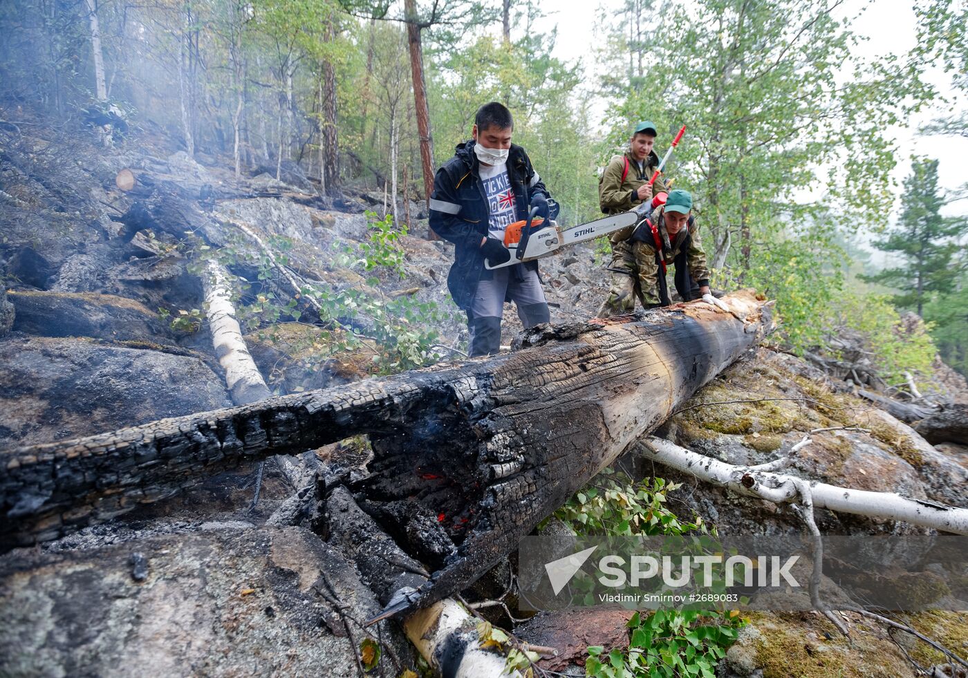 Wildfires put out in Irkutsk region