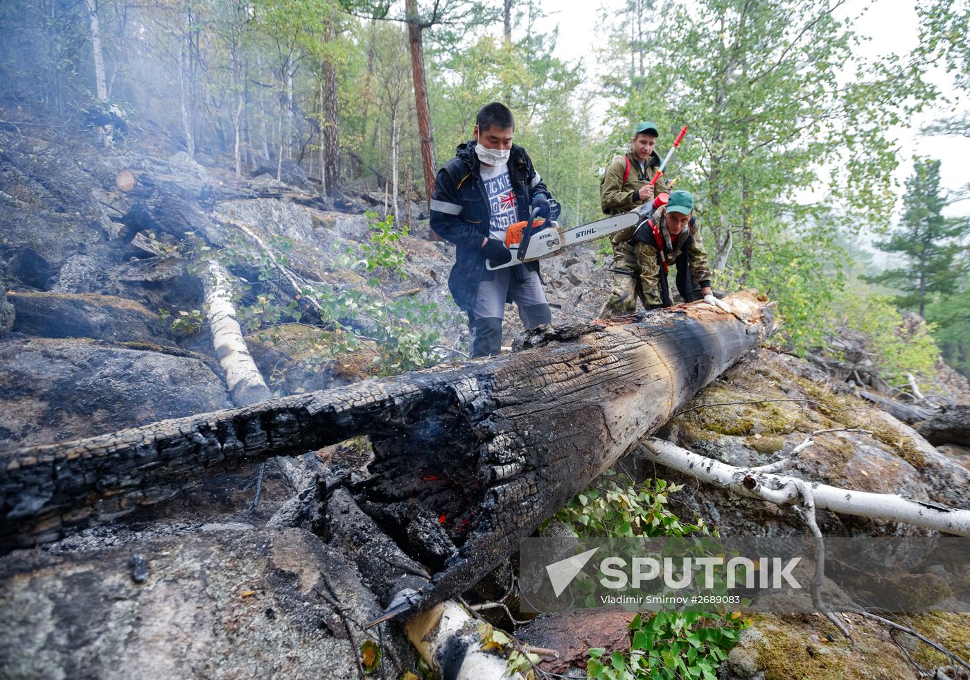 Wildfires put out in Irkutsk region