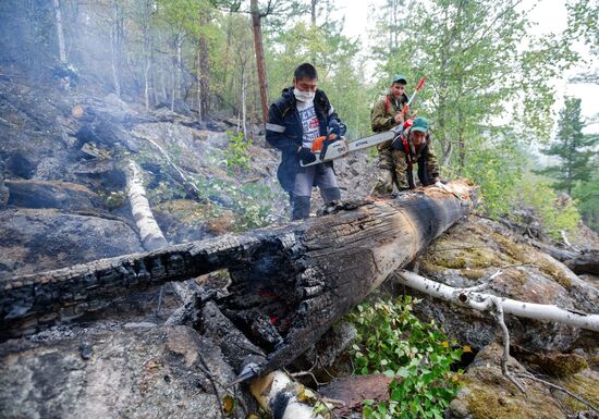 Wildfires put out in Irkutsk region
