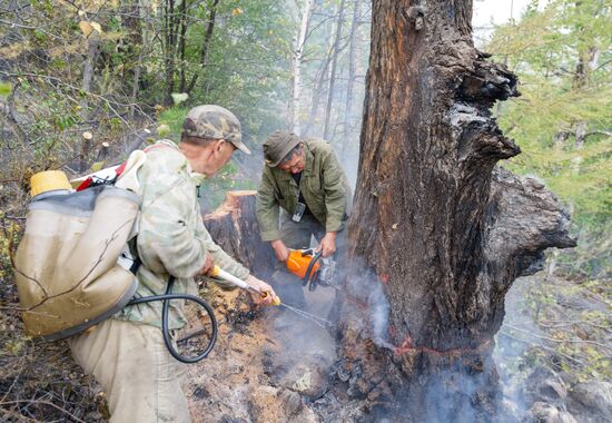 Wildfires put out in Irkutsk region