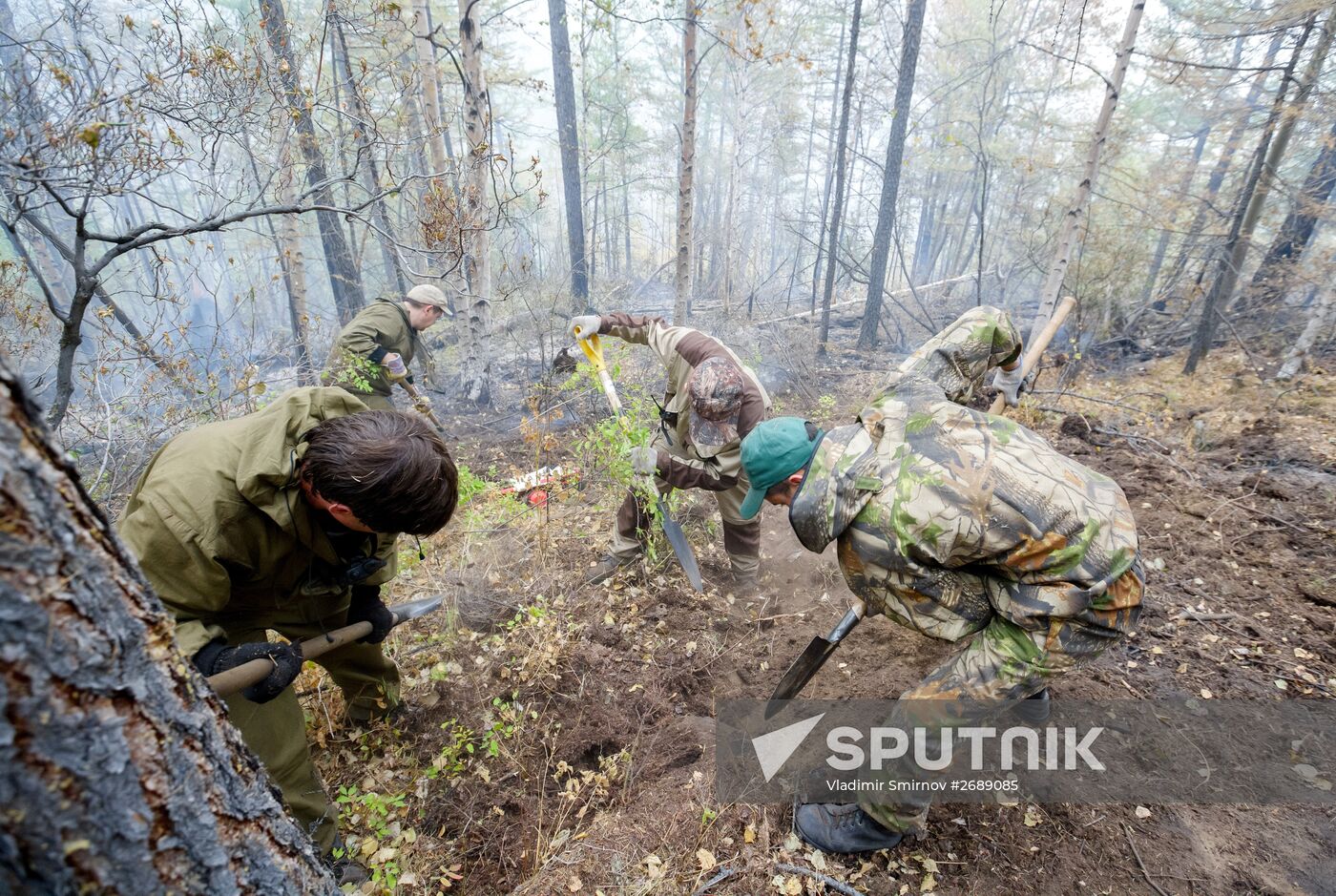 Wildfires put out in Irkutsk region