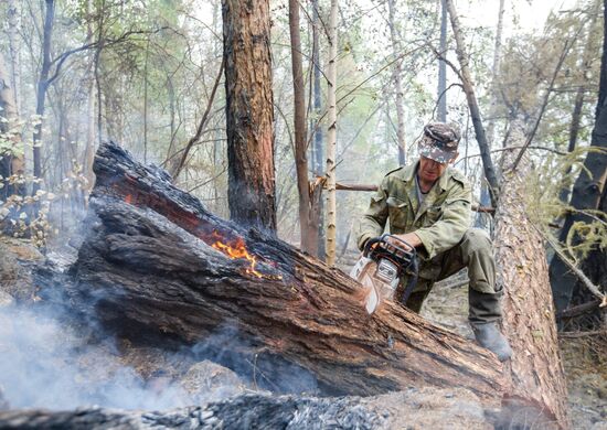 Wildfires put out in Irkutsk Region