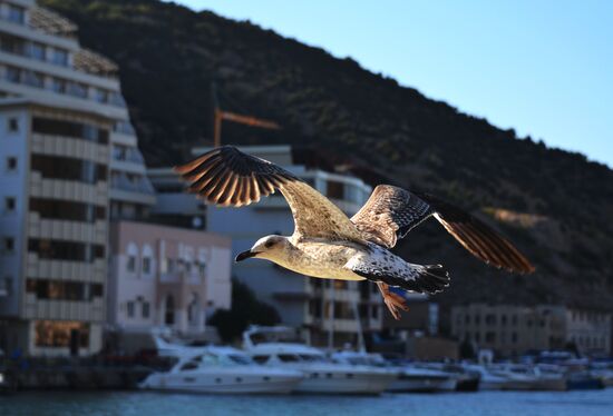 Russian regions, Crimea