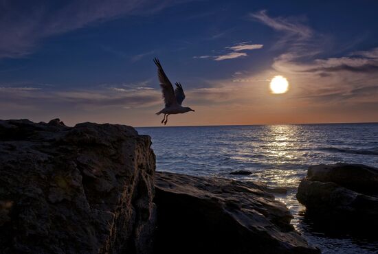 Russian regions. Crimea