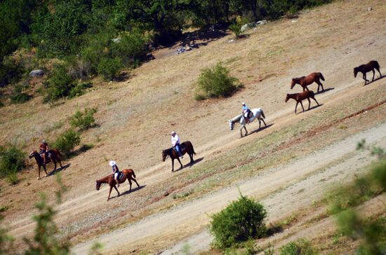 Holidays in Crimea