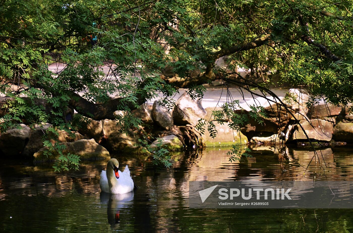 Russian regions. Crimea