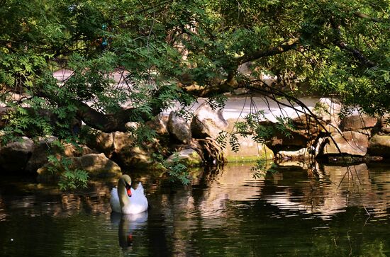 Russian regions. Crimea