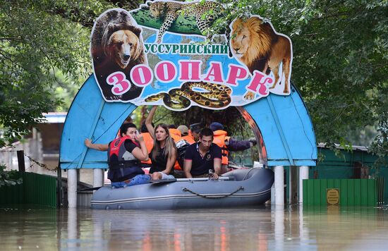 Ussuruiysk Zoo following a flash flood