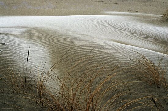 Curonian Spit